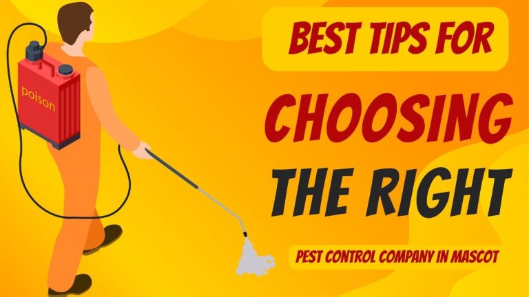 Best Tips For Choosing The Right Pest Control Company In Mascot