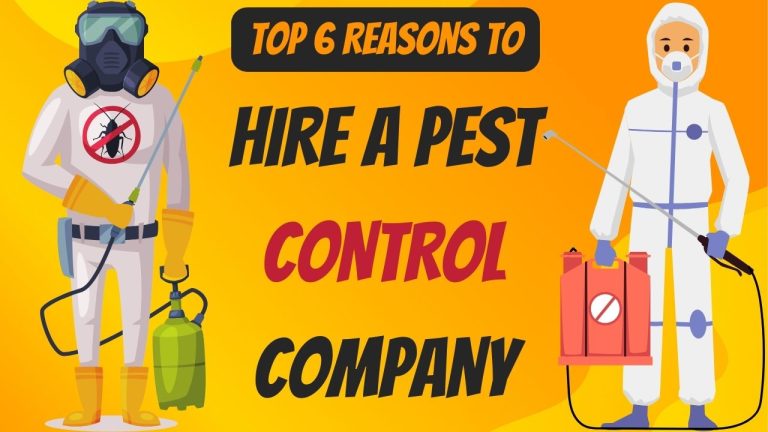 Top 6 Reasons To Hire A Pest Control Company